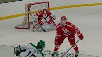 Polar Ice Arena photo 6