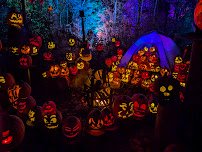 Minnesota Zoo photo 3