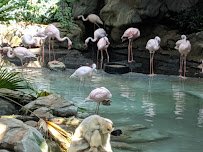 Minnesota Zoo photo 5