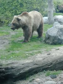Minnesota Zoo photo 6
