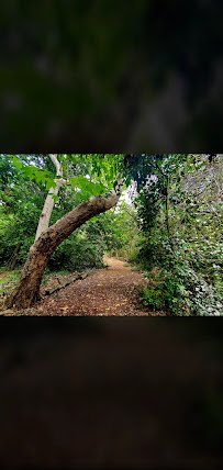 Shipley Nature Center photo 2