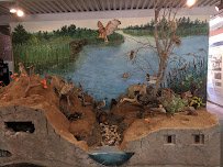 Shipley Nature Center photo 5