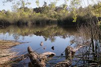 Shipley Nature Center photo 6