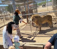 The Hesperia Zoo