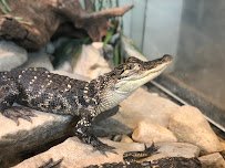 The Robins Nature Center at Maymont photo 5