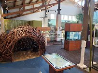 The Robins Nature Center at Maymont photo 6