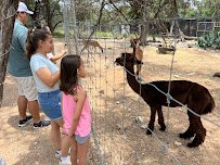 Austin Zoo photo 6