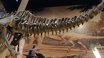 Sam Noble Oklahoma Museum of Natural History photo 2