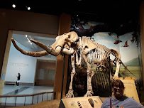 Sam Noble Oklahoma Museum of Natural History photo 3