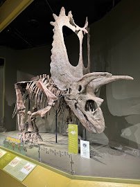 Sam Noble Oklahoma Museum of Natural History photo 4