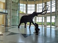 Sam Noble Oklahoma Museum of Natural History photo 5