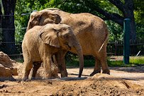Louisville Zoo photo 3