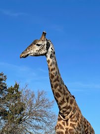 Louisville Zoo photo 5