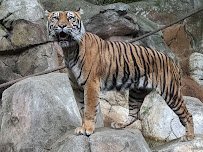 Louisville Zoo photo 6