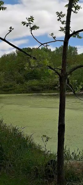 Stillman Nature Center photo 2
