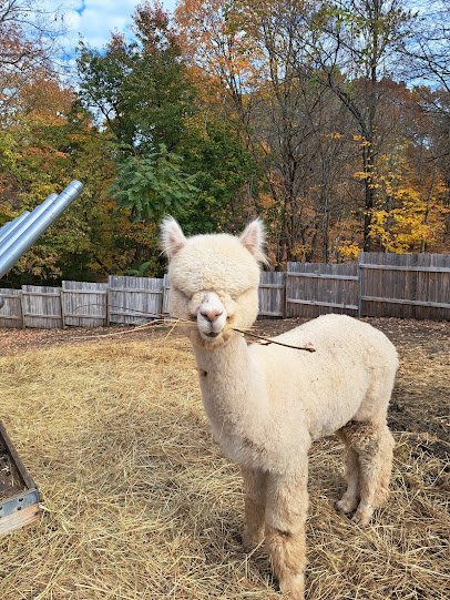 Hungerford Nature Center photo 4