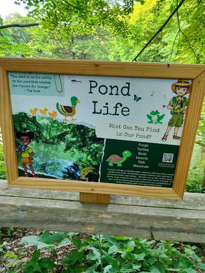 Hungerford Nature Center photo 5