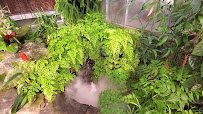 UNC Charlotte Botanical Gardens photo 2