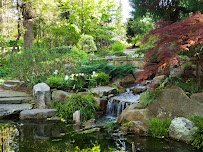 UNC Charlotte Botanical Gardens photo 6