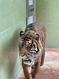 Asian Forest Sanctuary photo 4