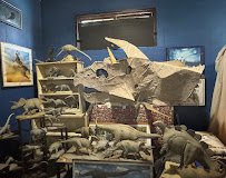 The Jurassic Alcove photo 4