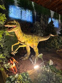 The Jurassic Alcove photo 6