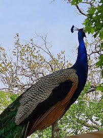 Riverside Park and Ralph Mitchell Zoo photo 4