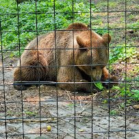 Riverside Park and Ralph Mitchell Zoo photo 6