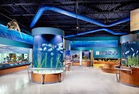 Cox Science Center and Aquarium photo 3