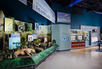 Cox Science Center and Aquarium photo 5