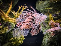 Cox Science Center and Aquarium photo 6