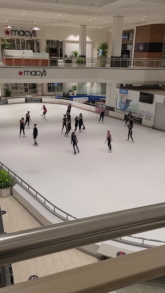 Tampa Bay Skating Academy – Countryside photo 2