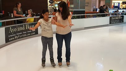 Tampa Bay Skating Academy – Countryside photo 4