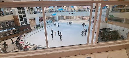 Tampa Bay Skating Academy – Countryside photo 5