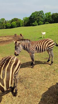 Circle M Safari Park photo 2