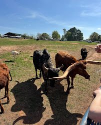 Circle M Safari Park photo 5