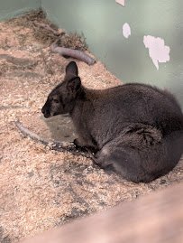 Animal Adventures Hubbardston EBL Corp