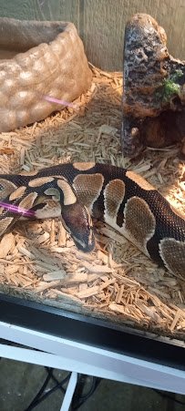 Animal Adventures Hubbardston EBL Corp photo 2