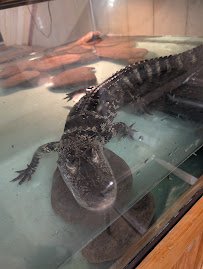 Animal Adventures Hubbardston EBL Corp photo 3