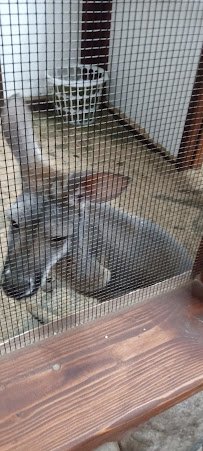 Animal Adventures Hubbardston EBL Corp photo 5