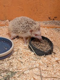 Animal Adventures Hubbardston EBL Corp photo 6