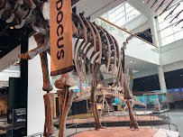Science Museum of Minnesota photo 2