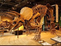 Science Museum of Minnesota photo 4