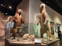 Science Museum of Minnesota photo 6