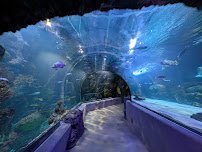 Virginia Aquarium & Marine Science Center photo 3