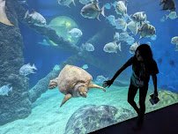 Virginia Aquarium & Marine Science Center photo 4