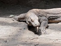 Virginia Aquarium & Marine Science Center photo 5