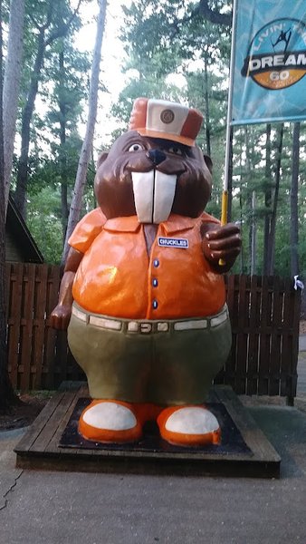 Tommy Bartlett Exploratory photo 5