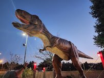 Lost Realm Adventure Park photo 4