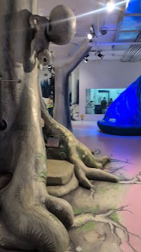 The Rabbit hOle photo 2